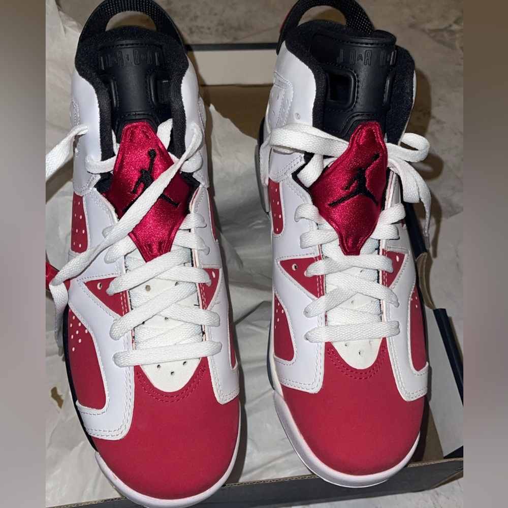 Carmine 2021 Jordan 6 Retro